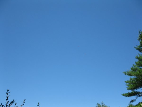 Galt7-3-2010 03218.jpg